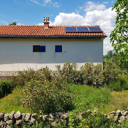 Vila Ecohouse Oliveglia Šilo Exteriér fotografie