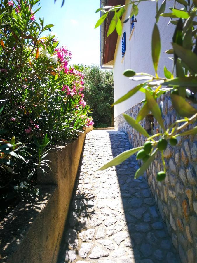 Vila Ecohouse Oliveglia Šilo Exteriér fotografie
