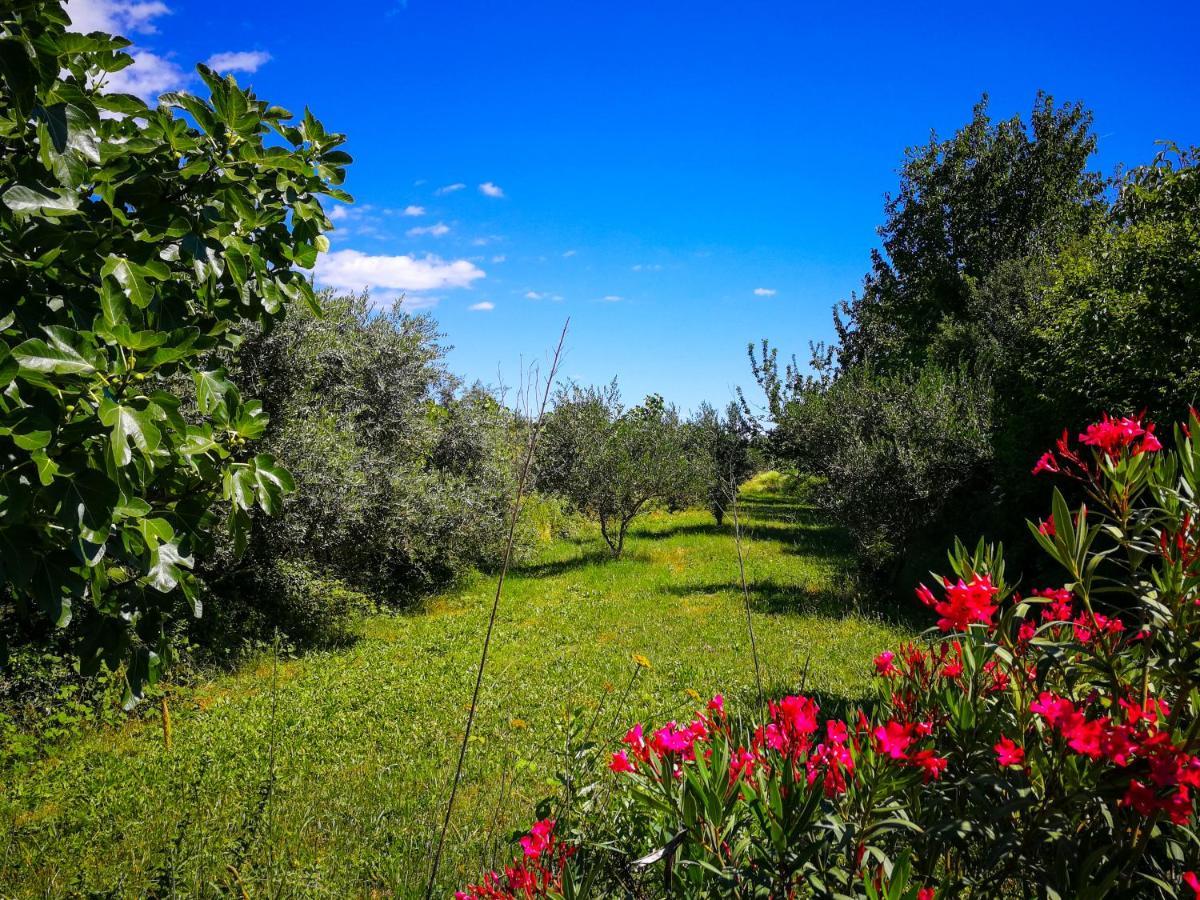 Vila Ecohouse Oliveglia Šilo Exteriér fotografie