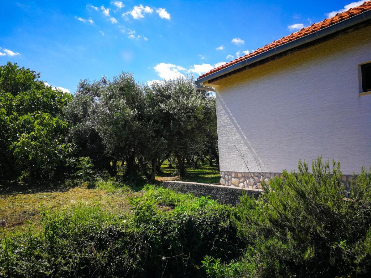 Vila Ecohouse Oliveglia Šilo Exteriér fotografie