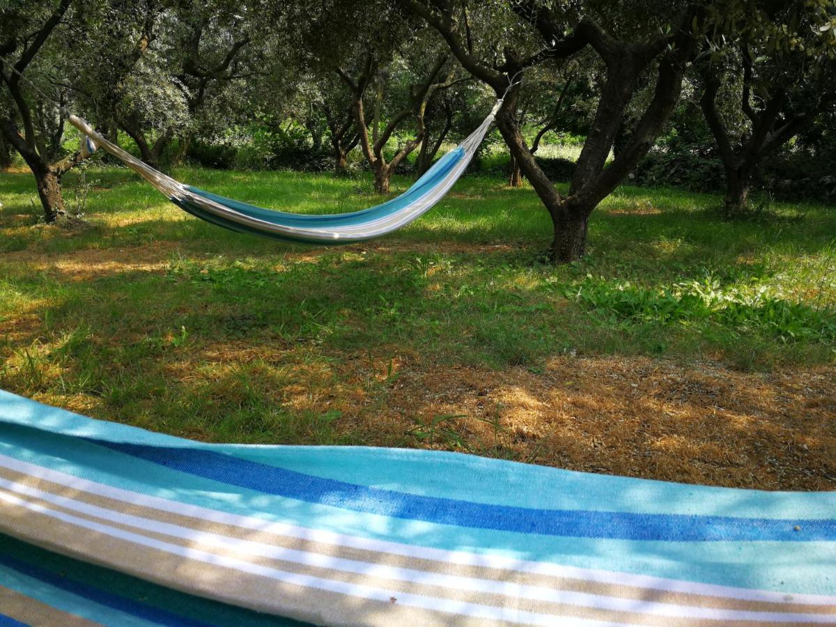 Vila Ecohouse Oliveglia Šilo Exteriér fotografie